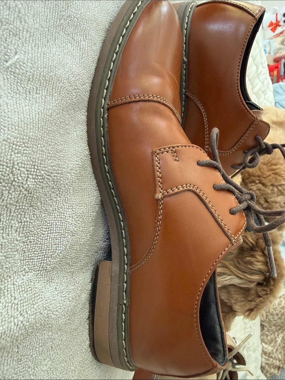 Bruno Marc Kids Tan Dress Shoes - Classic Lace-Up